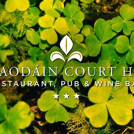 Cill Aodain Court Kiltimagh